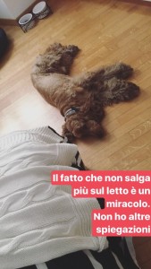 Dalle nostre Instagram Stories (non perdertele!!)