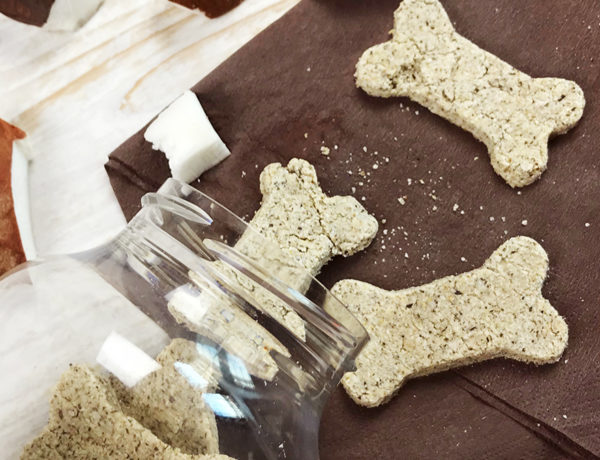 biscotti-al-cocco-per-cani