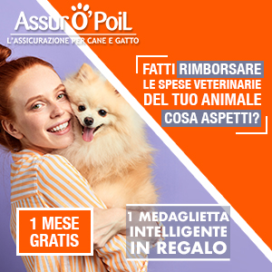 Ti consigliamo: